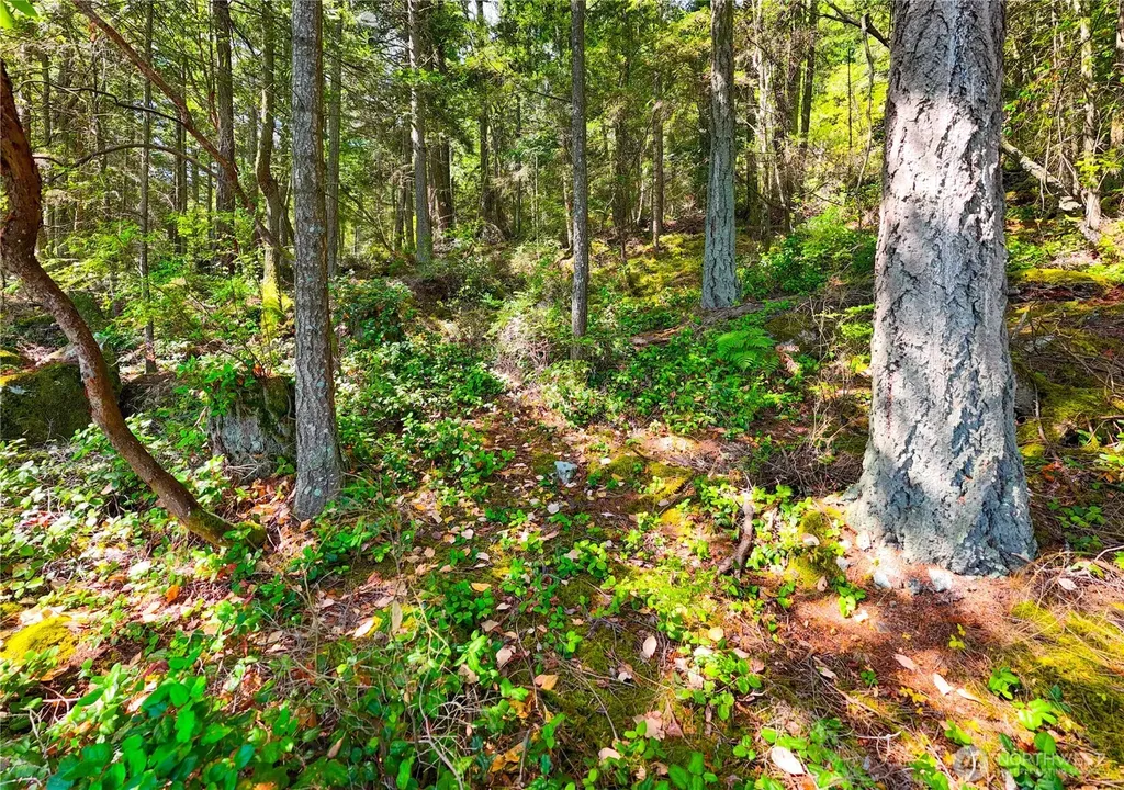 7121 Island View Drive Anacortes WA 98221