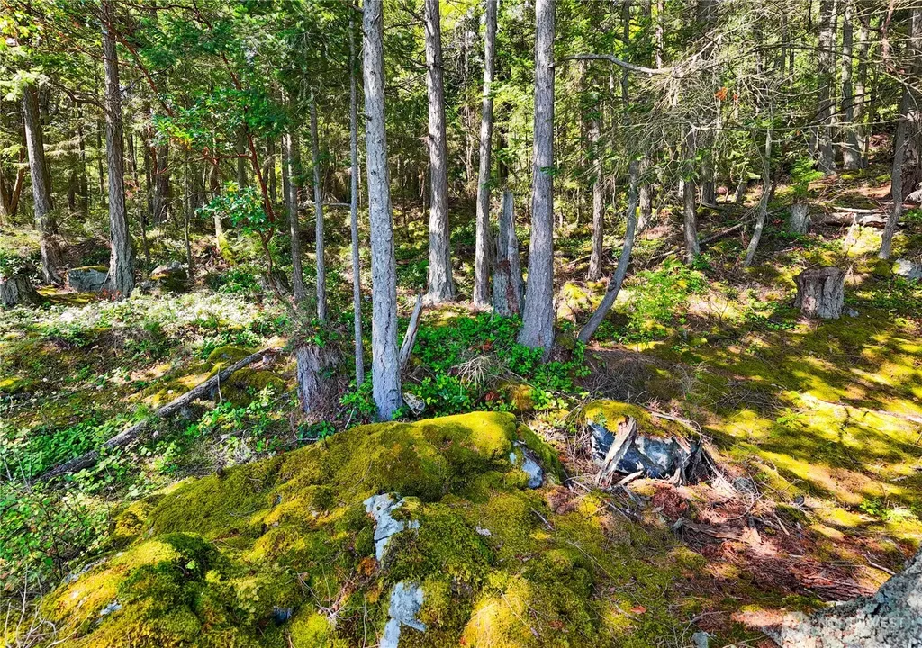 7121 Island View Drive Anacortes WA 98221