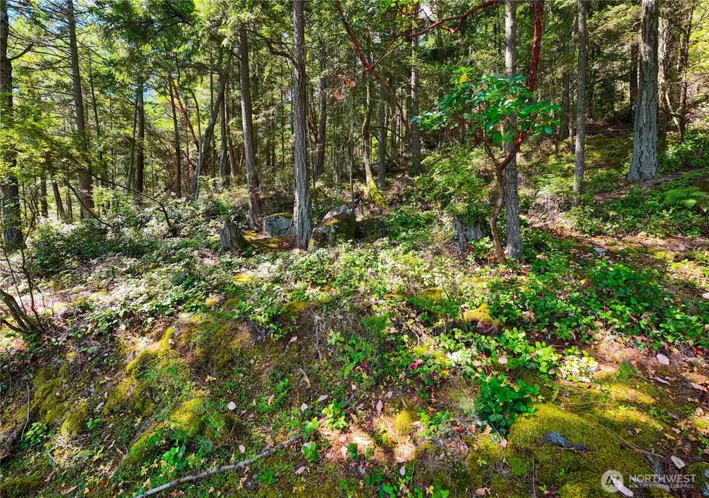 7121 Island View Drive Anacortes WA 98221
