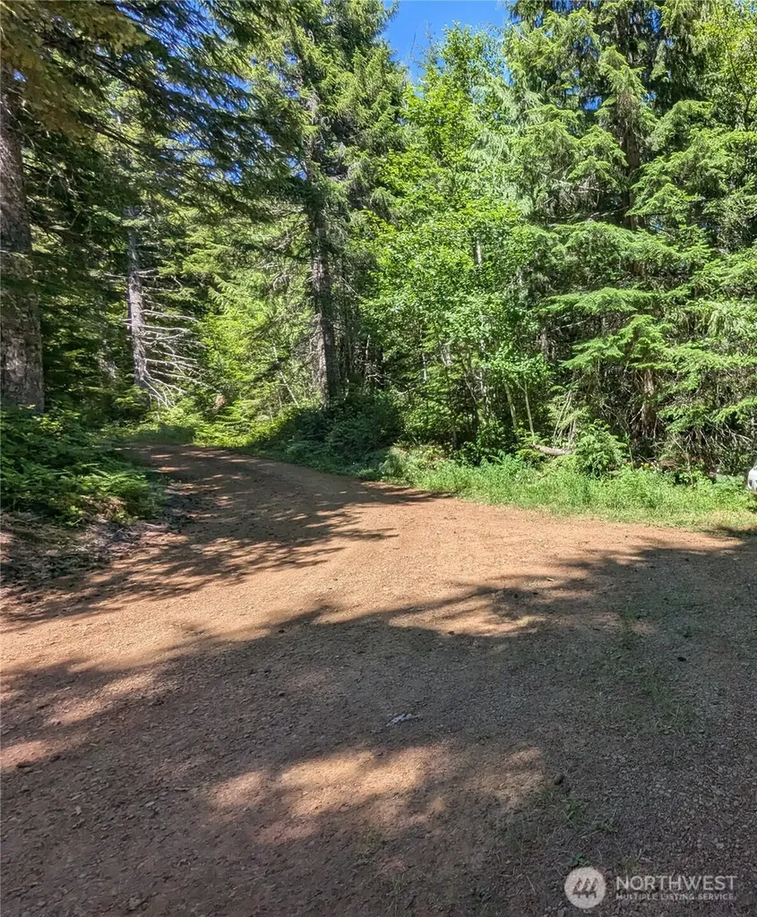 111 Dow Mtn Road Hoodsport WA 98548