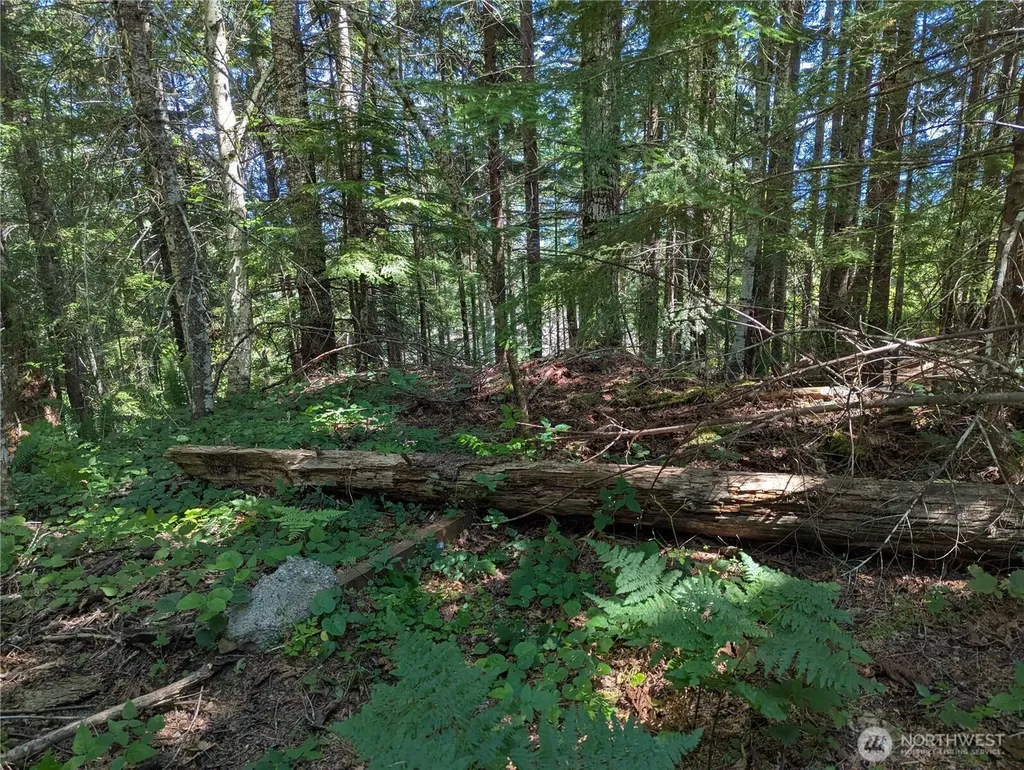 111 Dow Mtn Road Hoodsport WA 98548