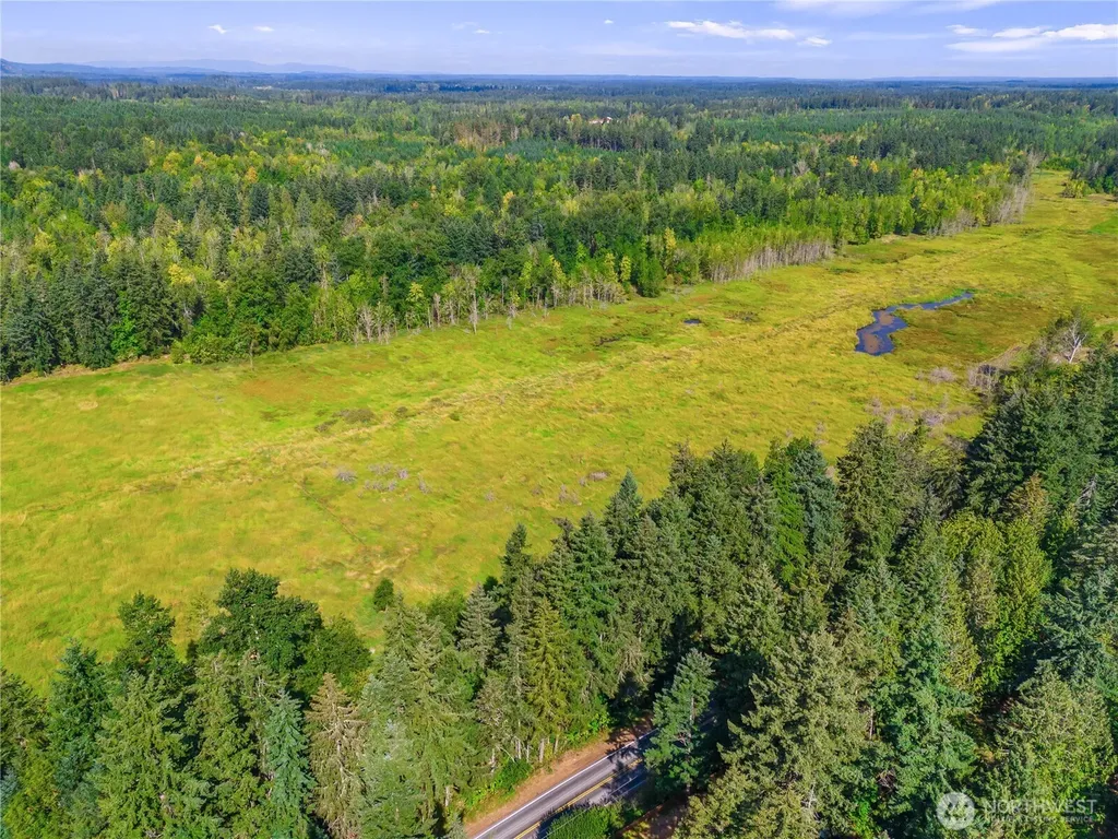 0 Bald Hills Road Yelm WA 98597