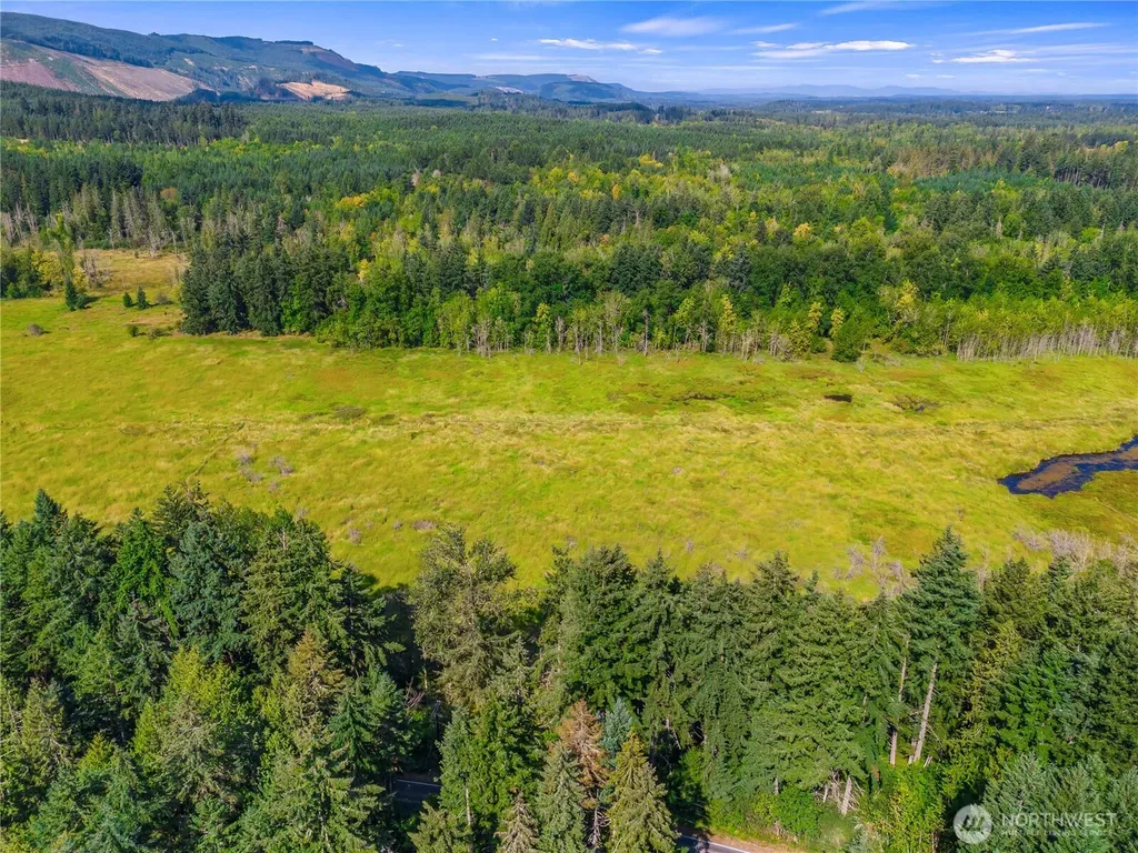 0 Bald Hills Road Yelm WA 98597