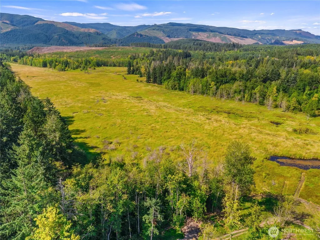0 Bald Hills Road Yelm WA 98597