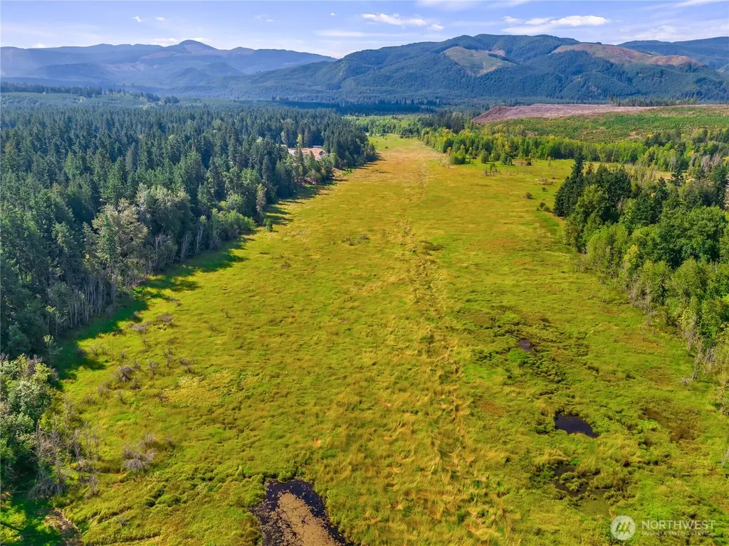 0 Bald Hills Road Yelm WA 98597