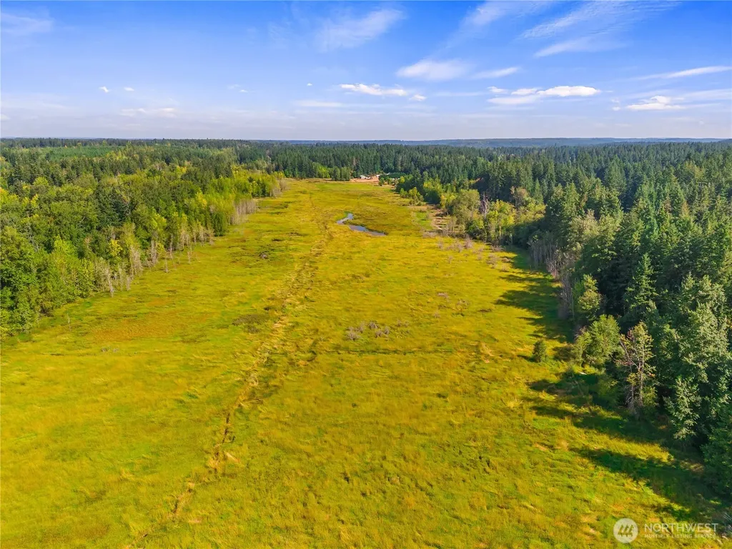 0 Bald Hills Road Yelm WA 98597