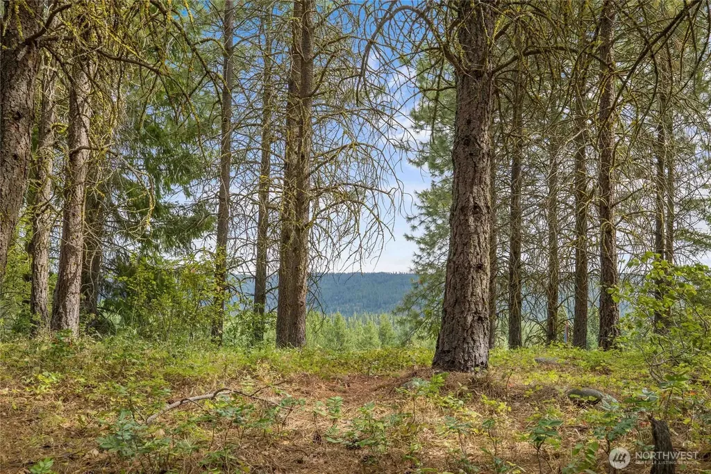 71 White Star Lane Cle Elum WA 98922