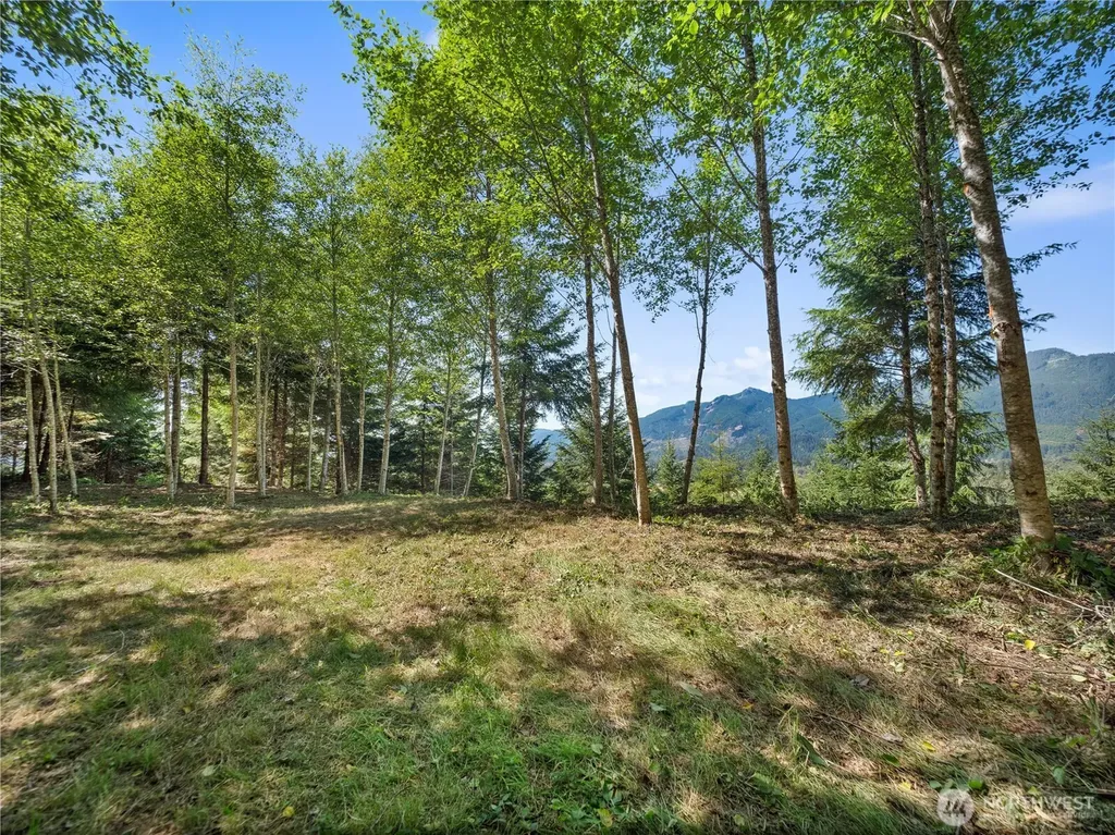 2 Skinner Road Randle WA 98377