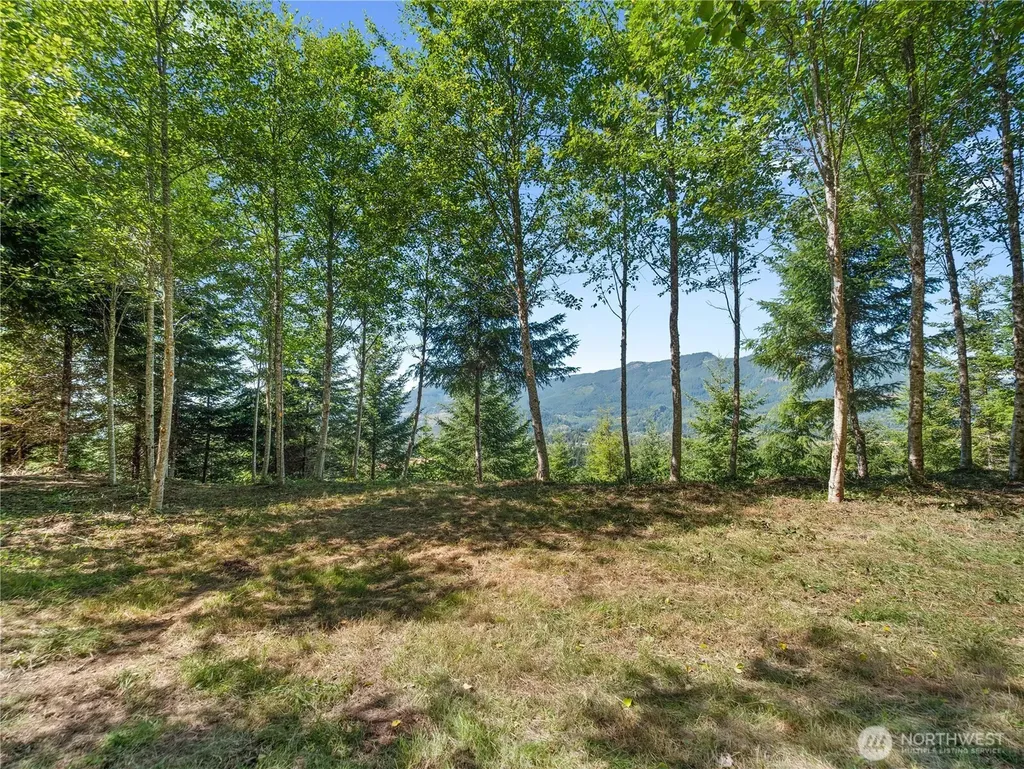 2 Skinner Road Randle WA 98377