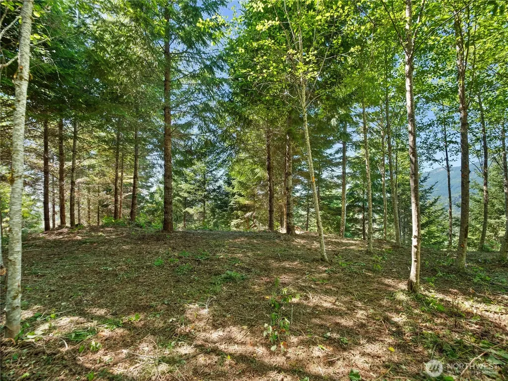 2 Skinner Road Randle WA 98377