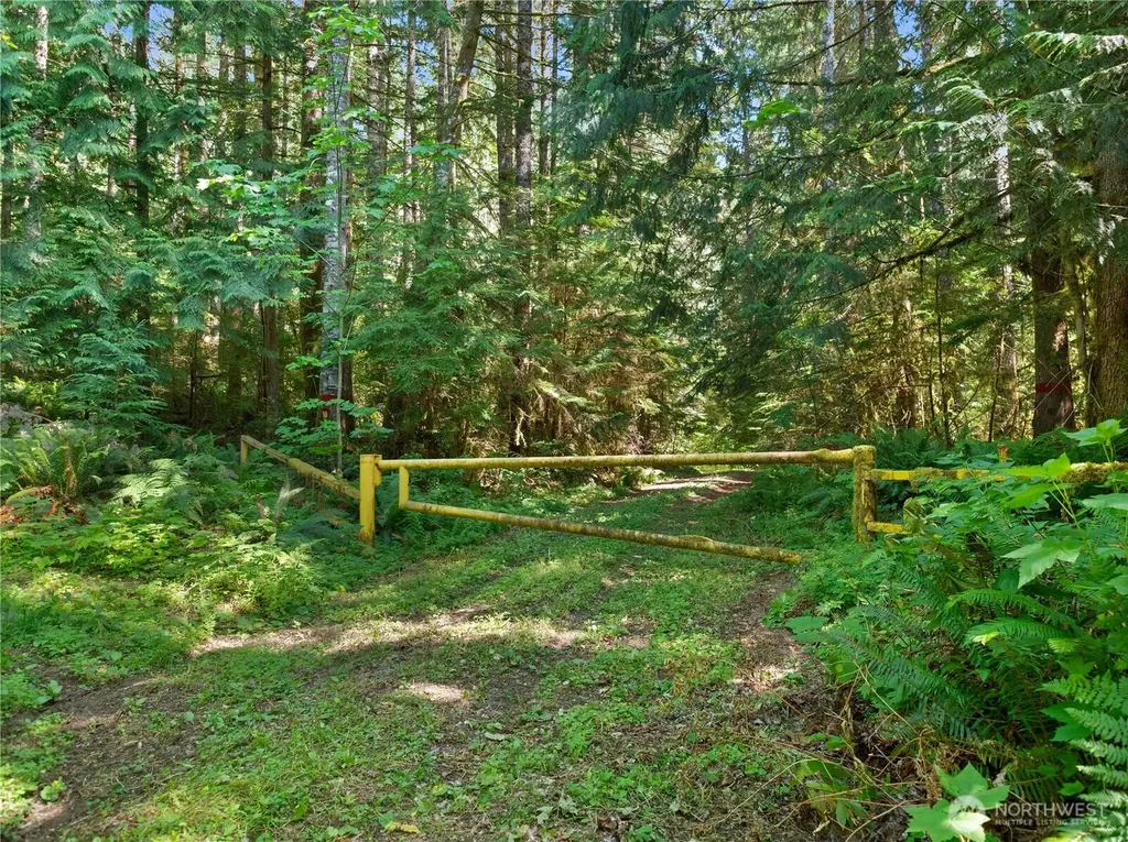 2 Skinner Road Randle WA 98377