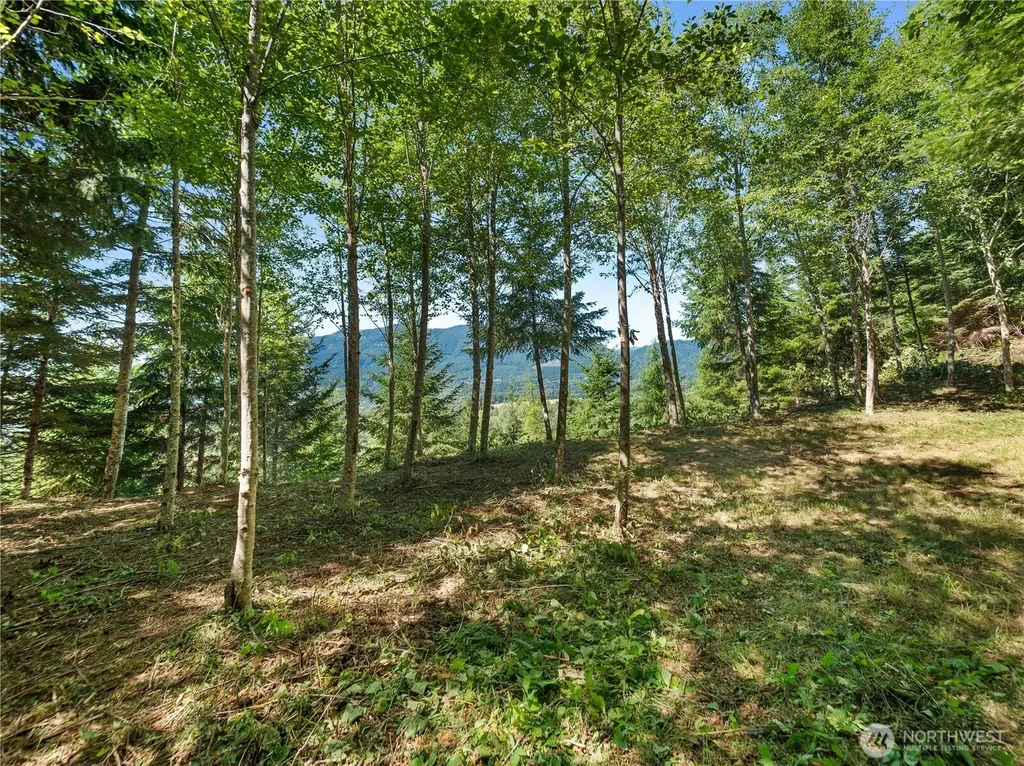2 Skinner Road Randle WA 98377