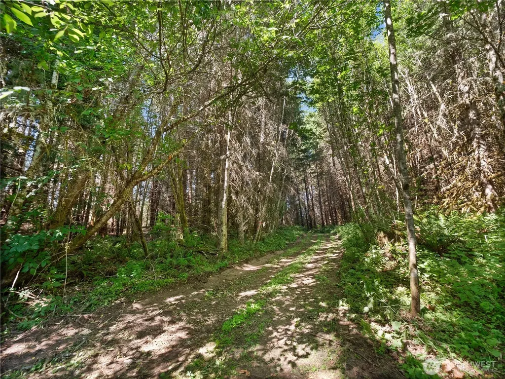 2 Skinner Road Randle WA 98377