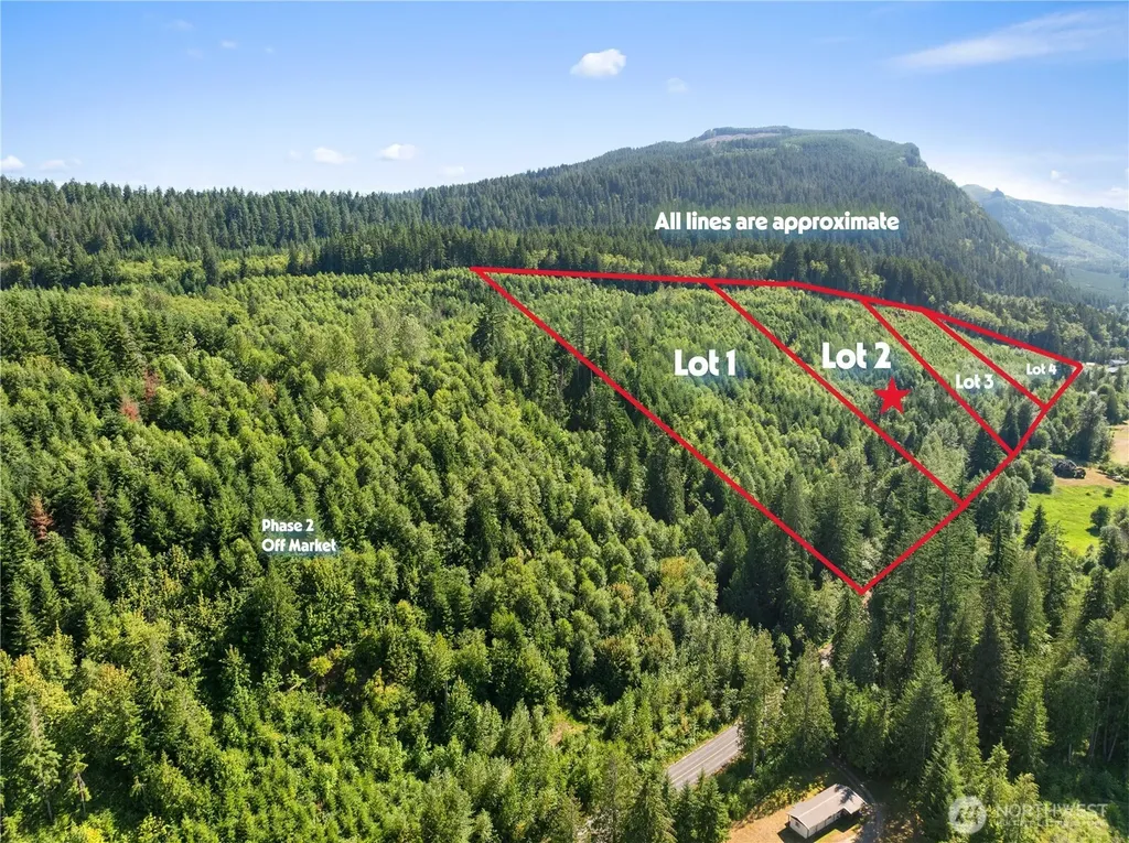 2 Skinner Road Randle WA 98377
