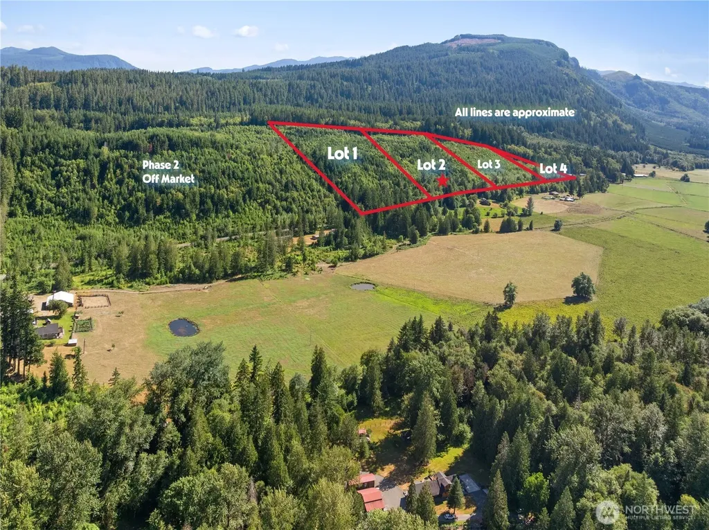 2 Skinner Road Randle WA 98377
