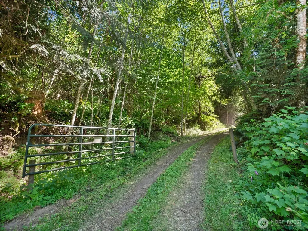 2 Skinner Road Randle WA 98377
