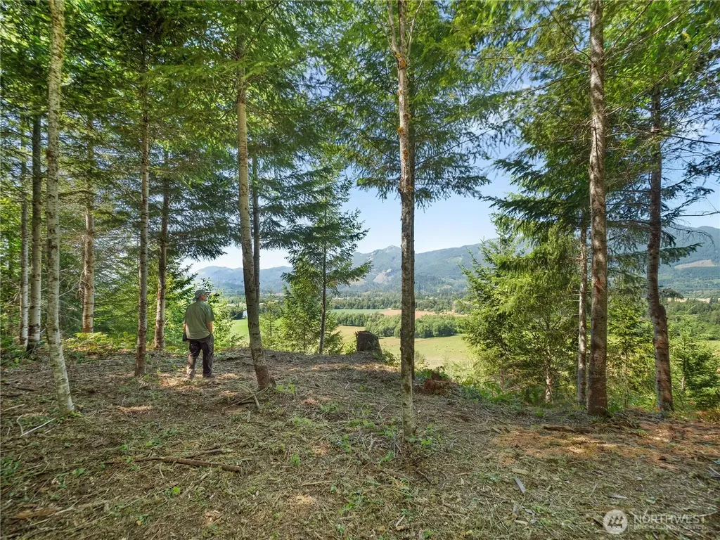 2 Skinner Road Randle WA 98377