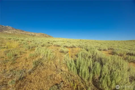 0 Goat Ridge Lot 6 - Highway 153 Pateros WA 98846