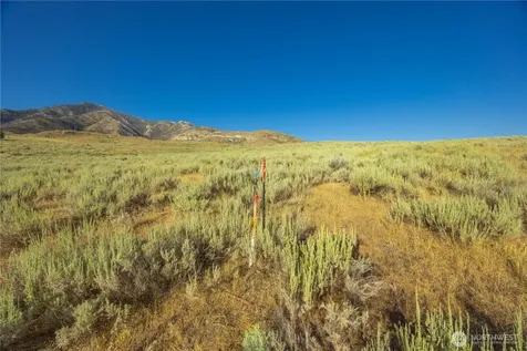 0 Goat Ridge Lot 6 - Highway 153 Pateros WA 98846
