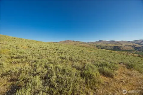0 Goat Ridge Lot 6 - Highway 153 Pateros WA 98846