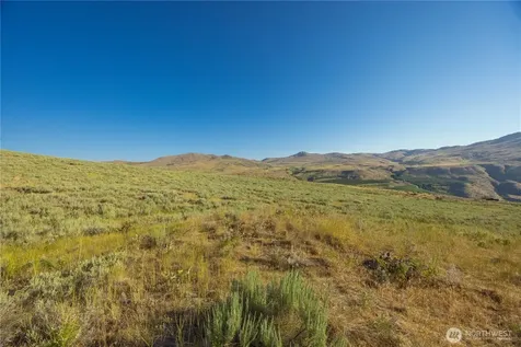 0 Goat Ridge Lot 6 - Highway 153 Pateros WA 98846