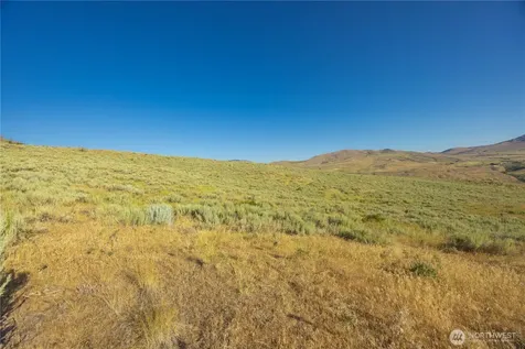 0 Goat Ridge Lot 6 - Highway 153 Pateros WA 98846