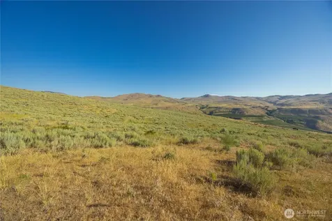 0 Goat Ridge Lot 6 - Highway 153 Pateros WA 98846