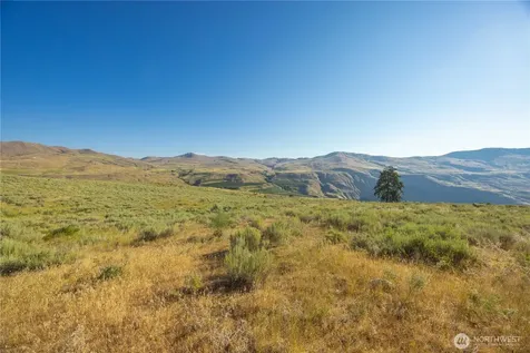 0 Goat Ridge Lot 6 - Highway 153 Pateros WA 98846