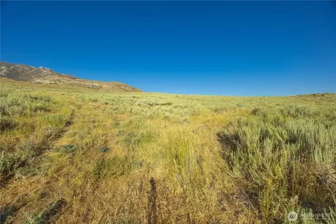 0 Goat Ridge Lot 6 - Highway 153 Pateros WA 98846