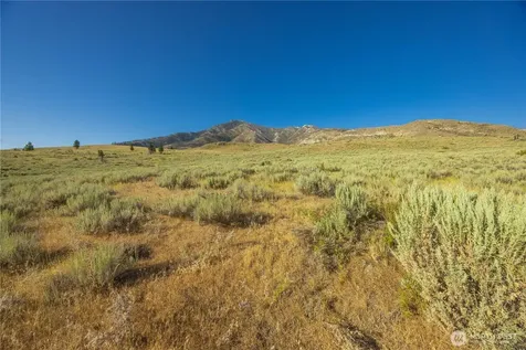 0 Goat Ridge Lot 6 - Highway 153 Pateros WA 98846