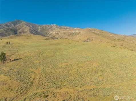 0 Goat Ridge Lot 6 - Highway 153 Pateros WA 98846
