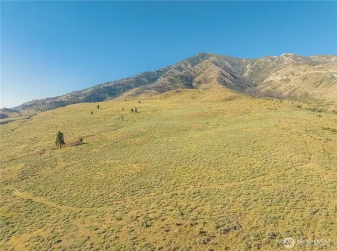 0 Goat Ridge Lot 6 - Highway 153 Pateros WA 98846