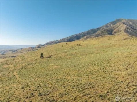 0 Goat Ridge Lot 6 - Highway 153 Pateros WA 98846