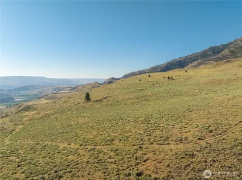 0 Goat Ridge Lot 6 - Highway 153 Pateros WA 98846