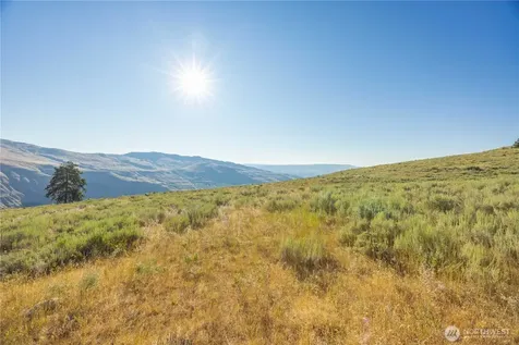 0 Goat Ridge Lot 6 - Highway 153 Pateros WA 98846