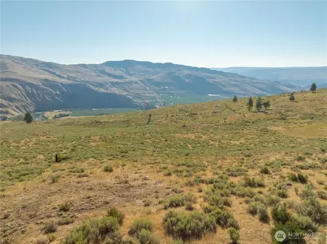 0 Goat Ridge Lot 6 - Highway 153 Pateros WA 98846