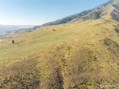 0 Goat Ridge Lot 6 - Highway 153 Pateros WA 98846
