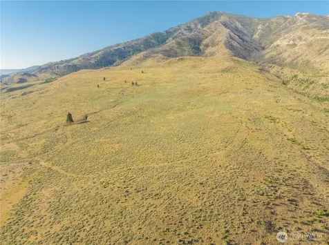 0 Goat Ridge Lot 6 - Highway 153 Pateros WA 98846