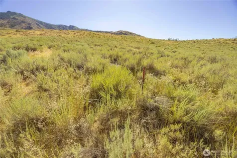 0 Goat Ridge Lot 6 - Highway 153 Pateros WA 98846