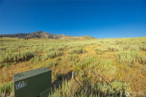 0 Goat Ridge Lot 6 - Highway 153 Pateros WA 98846