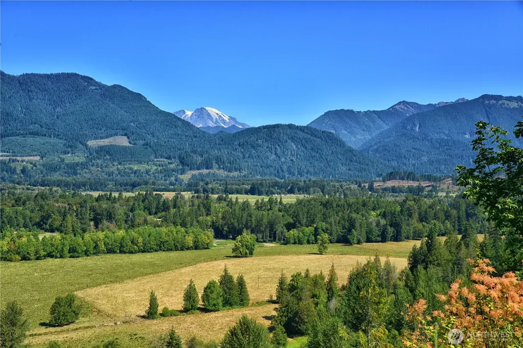 3 Skinner Road Randle WA 98377