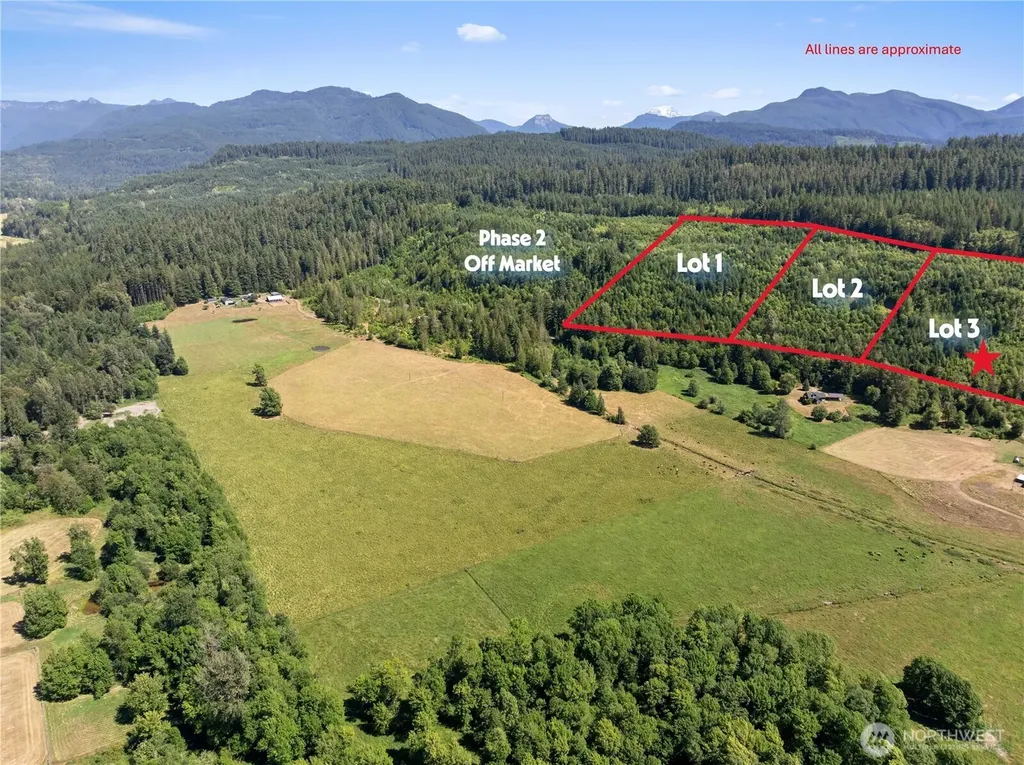 3 Skinner Road Randle WA 98377