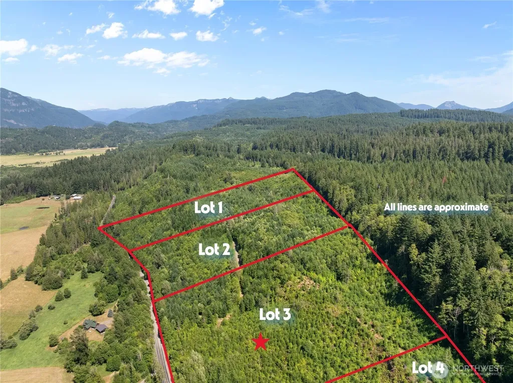 3 Skinner Road Randle WA 98377