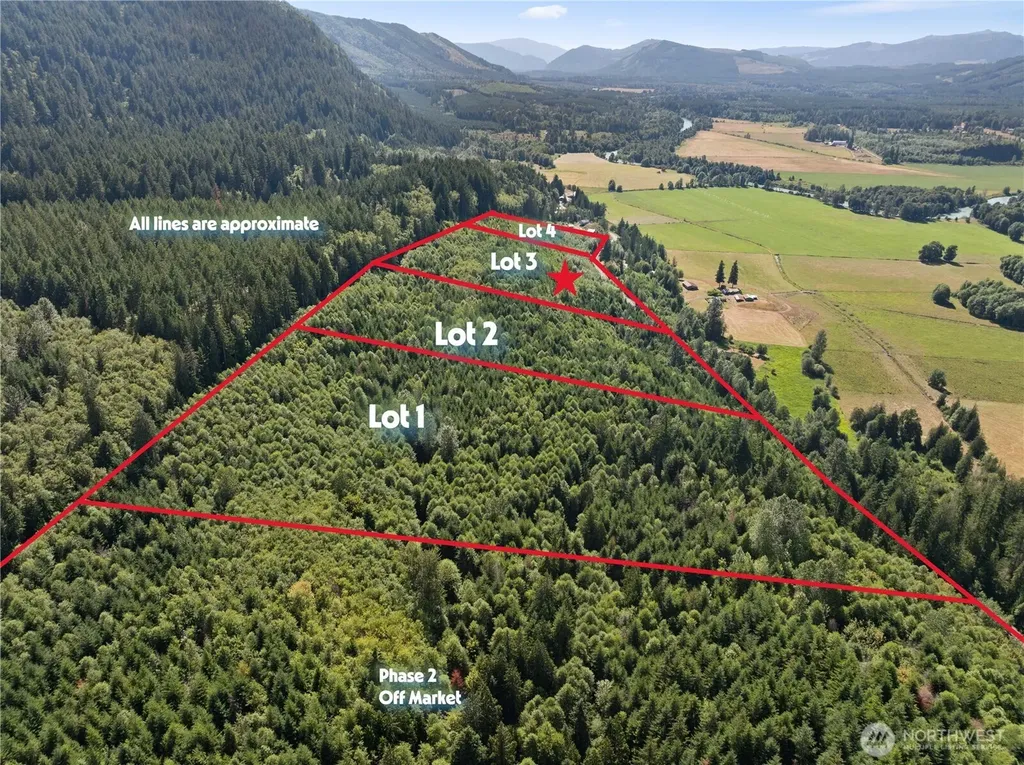 3 Skinner Road Randle WA 98377