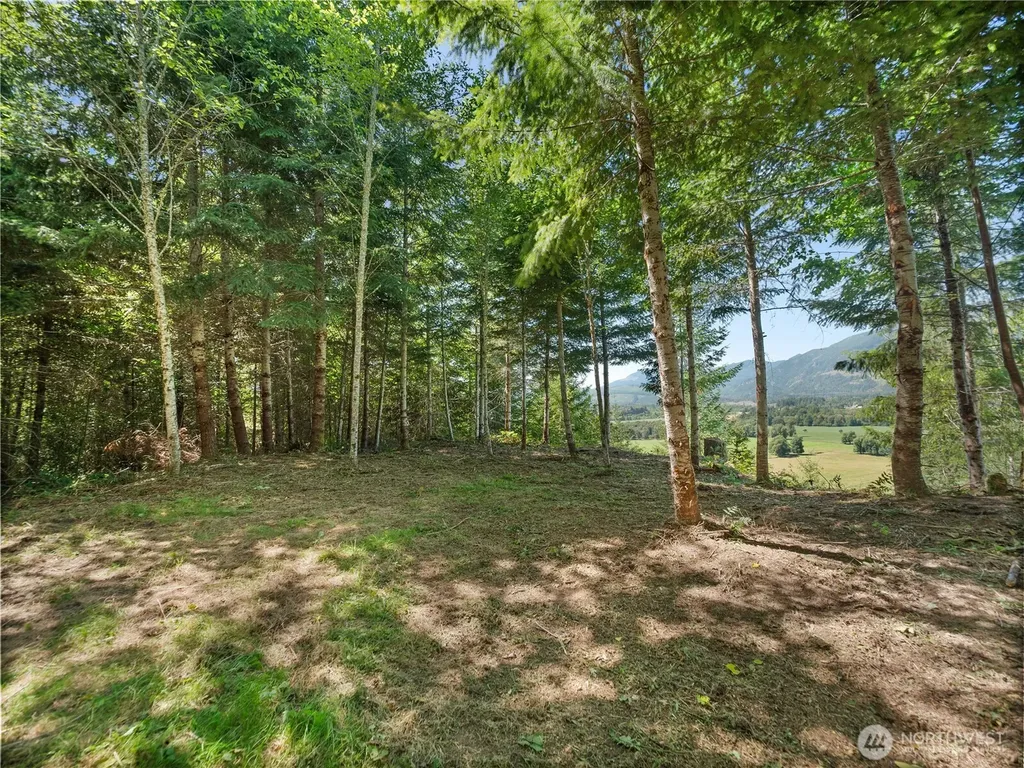 3 Skinner Road Randle WA 98377