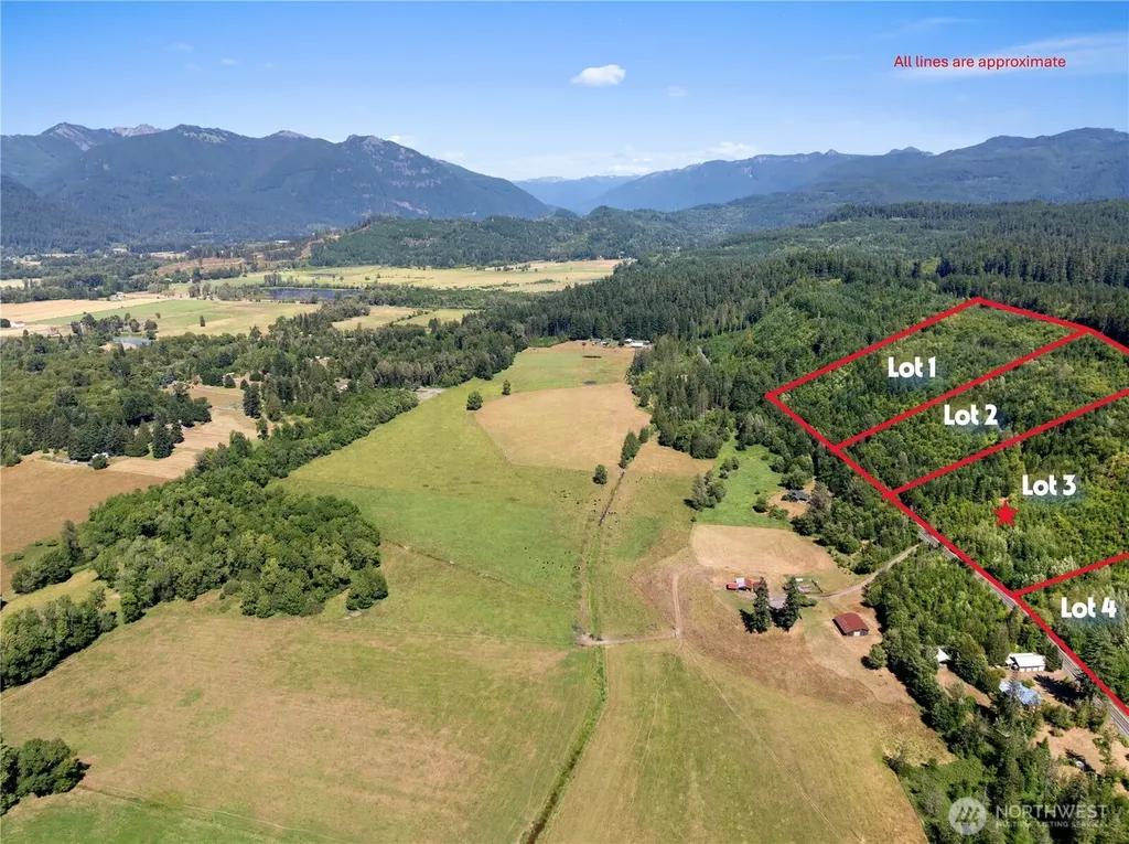 3 Skinner Road Randle WA 98377