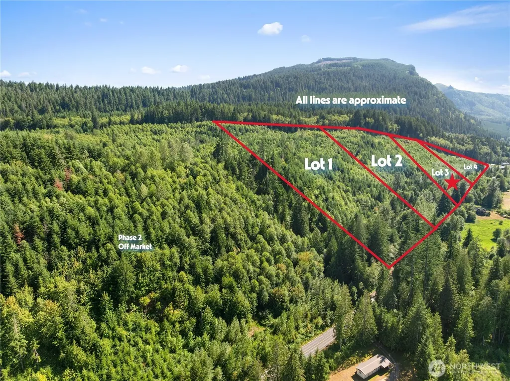 3 Skinner Road Randle WA 98377