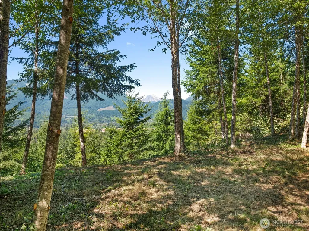 3 Skinner Road Randle WA 98377