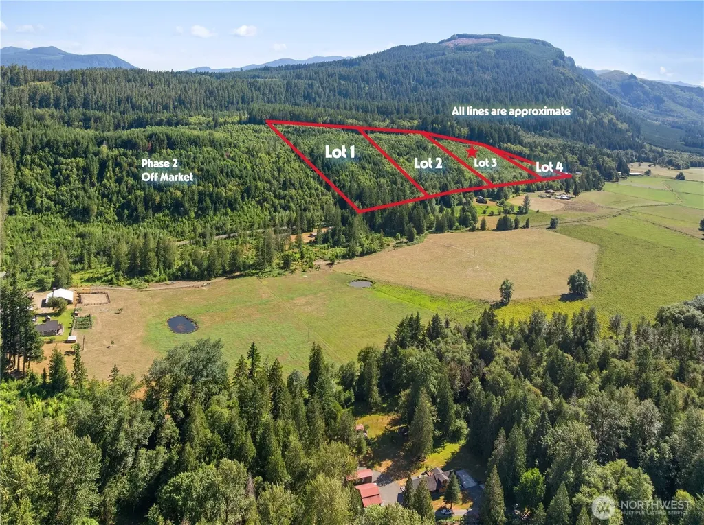 3 Skinner Road Randle WA 98377