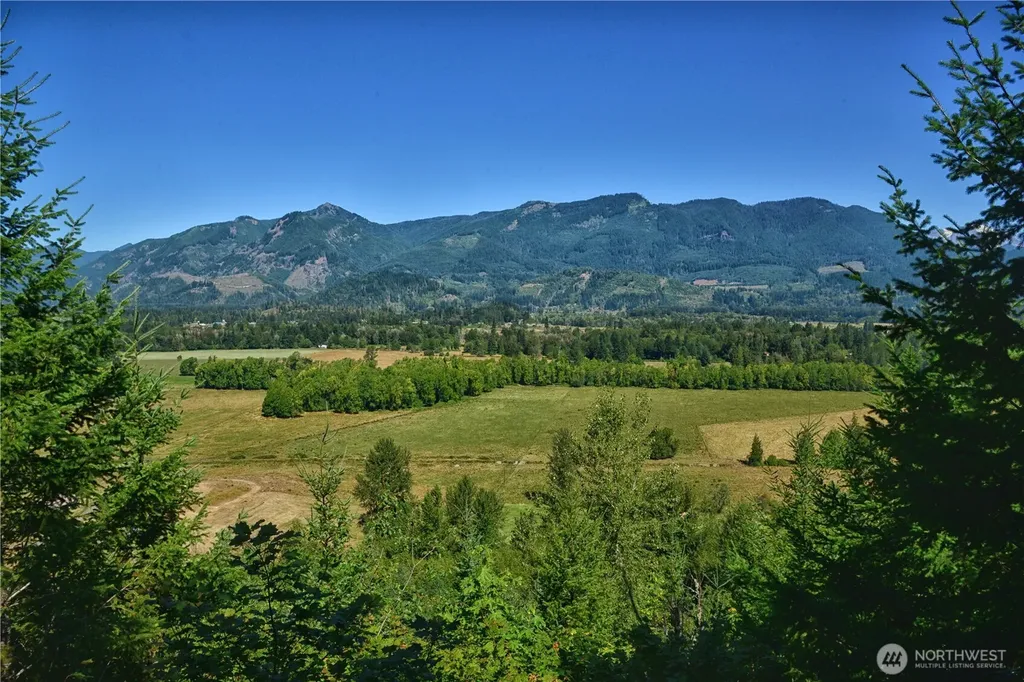 3 Skinner Road Randle WA 98377